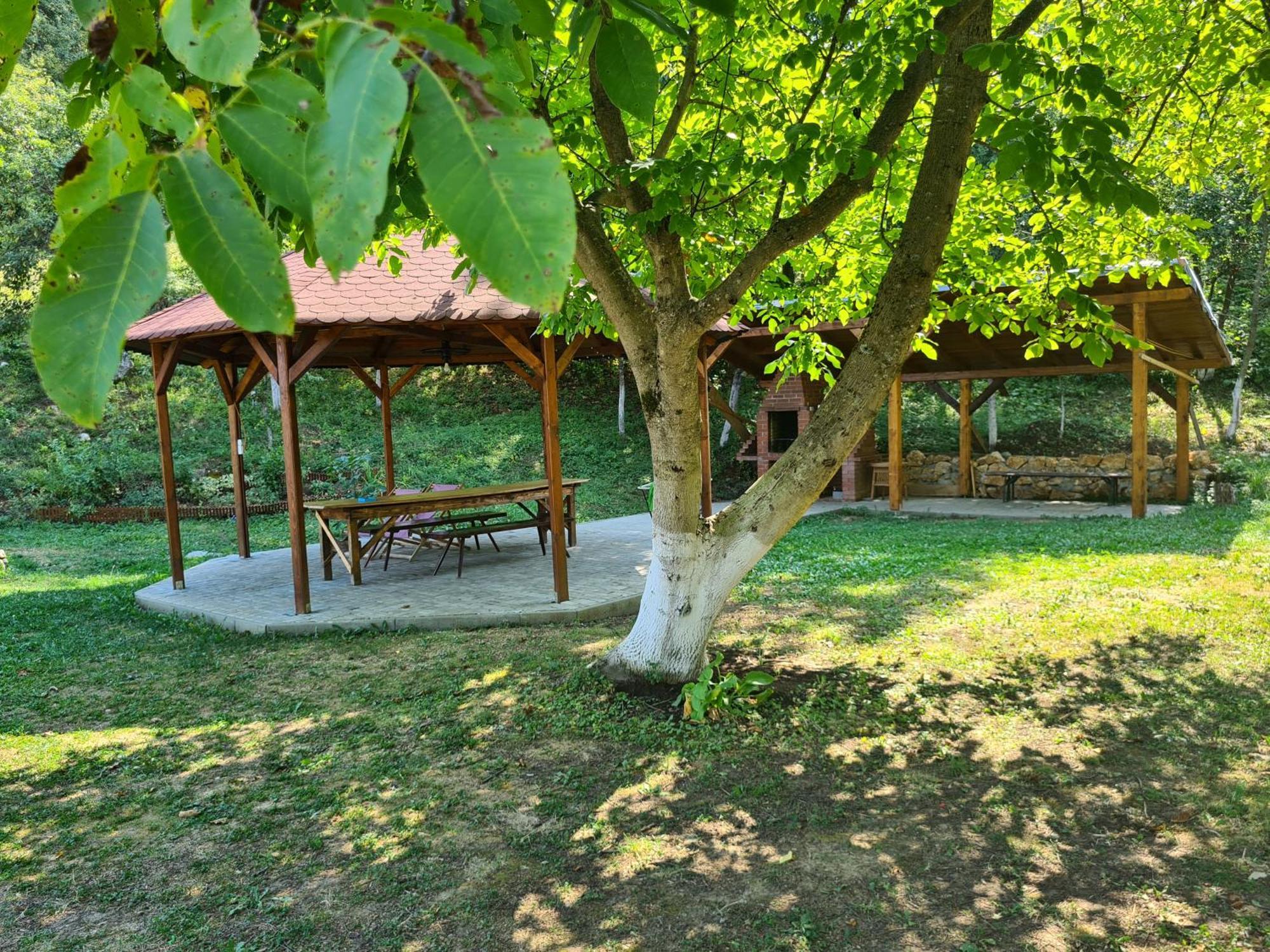 Salas U Bregu In Cheile Carasului Crasova Exterior photo